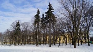 Александровский сад зимой